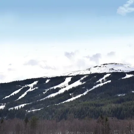 Gorgeous In With Sauna Apartamento